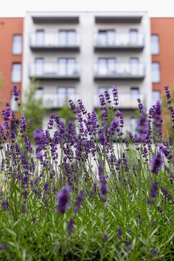 Appartement Salsa Pet-friendly By Renters